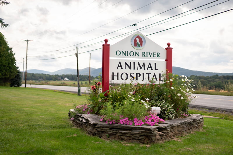 Hospital Policies - Onion River Animal Hospital